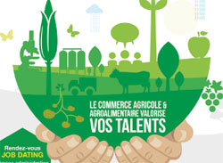 Commercial dans le secteur agricole : des débouchés pour travailler au vert Commercial dans le secteur agricole : des débouchés pour travailler au vert