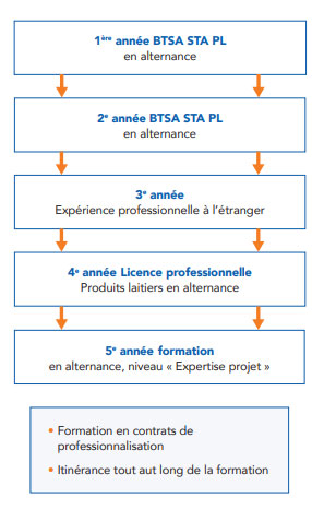 Crémier-fromager : de nouvelles formations pour un métier qui recrute Crémier-fromager : de nouvelles formations pour un métier qui recrute