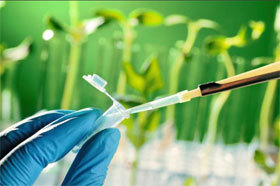 Biotechnologies : un gisement d'emplois Biotechnologies : un gisement d'emplois