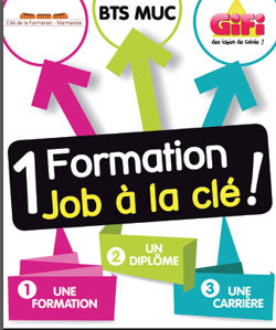 Affiche du BTS Muc proposé par Gifi. Affiche du BTS Muc proposé par Gifi.
