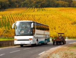 Le transport en autocar recrute, mais sur quels métiers ? Le transport en autocar recrute, mais sur quels métiers ?