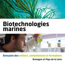 Les biotechnologies marines : une grande vague de débouchés dans l'Ouest 