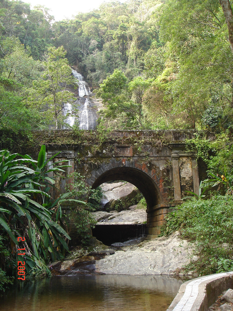 La forêt de Tijuca