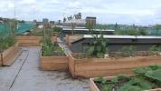 Un_potager_sur_le_toit.mov