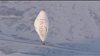 Jean-Louis Etienne tente la traversée de l'Arctique en ballon