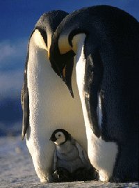 16-25 ans : bien gérer ses parents 16-25 ans : bien gérer ses parents
