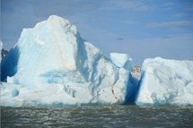 Expédition en terre arctique