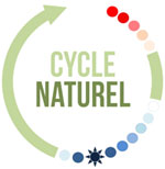 Six règles d'or... pour ne plus détester ses règles Six règles d'or... pour ne plus détester ses règles