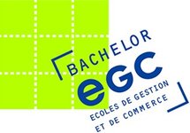 Ecoles de commerce : choisir un cursus bachelor, pourquoi, comment ?