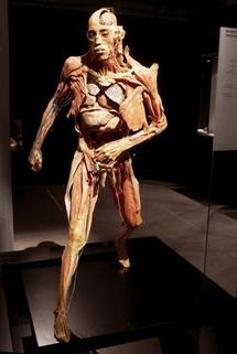 L'exposition 'Our body' à Paris : leçon d'anatomie sur de vrais corps 