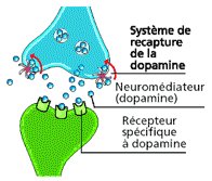 Effets et méfaits du cannabis