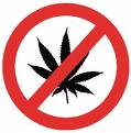 Effets et méfaits du cannabis Effets et méfaits du cannabis