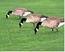 Grandir dans la confiance en soi Grandir dans la confiance en soi