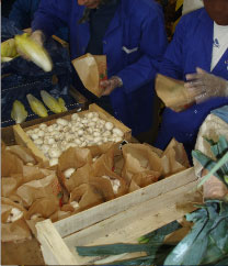 Jeunes créateurs des "Paniers du Citadin" Jeunes créateurs des "Paniers du Citadin"