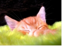 Savoir gérer son temps... pour être plus efficace et moins stressé Savoir gérer son temps... pour être plus efficace et moins stressé