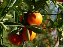 Savoir gérer son temps... pour être plus efficace et moins stressé Savoir gérer son temps... pour être plus efficace et moins stressé