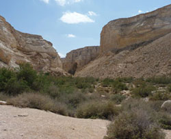 Le désert du Néguev, l'un des lieux où furent écrits des textes bibliques.