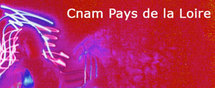 CNAM des Pays de la Loire CNAM des Pays de la Loire