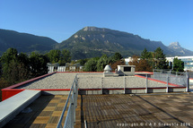 L'Institut d'administration des Entreprises (IAE) de Grenoble L'Institut d'administration des Entreprises (IAE) de Grenoble