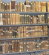 La Bibliothèque Sainte-Geneviève est son domaine