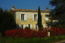 Pour Jérôme, le bonheur est dans les vignes ! Pour Jérôme, le bonheur est dans les vignes !