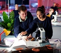 Australie : un visa qui permet d'étudier puis de travailler ! Australie : un visa qui permet d'étudier puis de travailler !