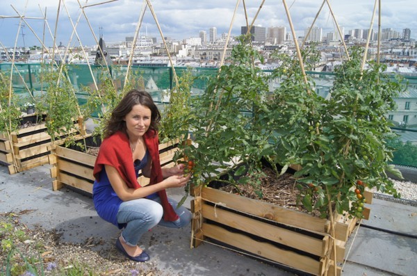 Ils plantent des potagers sur les toits de Paris