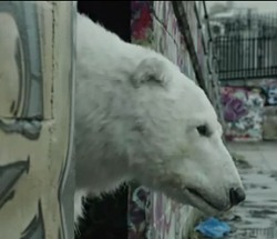 Un ours polaire meurt les rues de Londres : une vidéo choc de Greenpeace Un ours polaire meurt les rues de Londres : une vidéo choc de Greenpeace