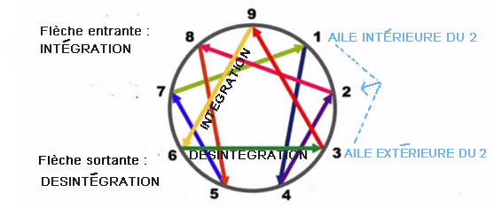 Découvrir la base de sa personnalité avec l'ennéagramme Découvrir la base de sa personnalité avec l'ennéagramme