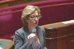 Geneviève Fioraso défend l'article 2 de sa loi à l'Assemblée le 15 mai.