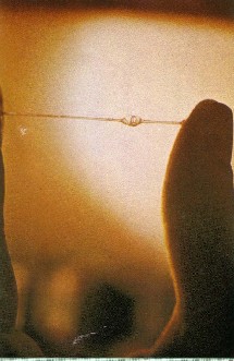 Glaire cervicale filante et transparente très favorable aux spermatozoïdes Glaire cervicale filante et transparente très favorable aux spermatozoïdes