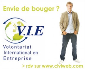 Le Volontariat international en entreprise (VIE) s'ouvre aux licences pro Le Volontariat international en entreprise (VIE) s'ouvre aux licences pro