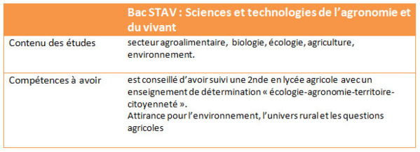 Quelle série de bac choisir ?
