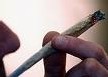 Cannabis : une étude complète sur la consommation Cannabis : une étude complète sur la consommation