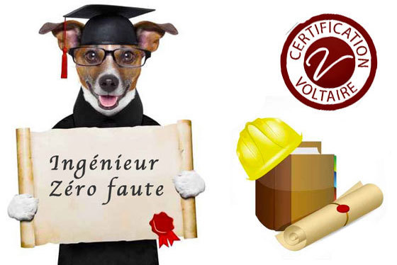Une école d'ingénieur exige un niveau d'orthographe minimum pour délivrer son diplôme Une école d'ingénieur exige un niveau d'orthographe minimum pour délivrer son diplôme