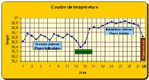 Le décalage vers le haut est le signe que l'ovulation a eu lieu Le décalage vers le haut est le signe que l'ovulation a eu lieu