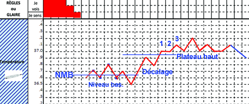 Pourquoi et comment faire sa courbe de température ?