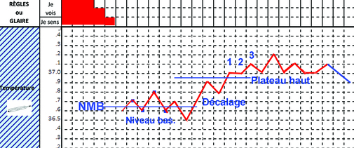 Pourquoi et comment faire sa courbe de température ? Pourquoi et comment faire sa courbe de température ?