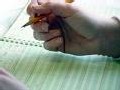 Feuilles volantes ou cahiers ? Feuilles volantes ou cahiers ?