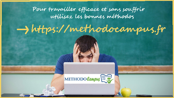 L'école de commerce ISC Paris lance la Fresque de l'Apprendre L'école de commerce ISC Paris lance la Fresque de l'Apprendre