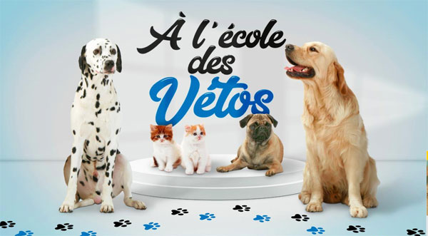 Affiche de présentation de l'émission. © france.tv Affiche de présentation de l'émission. © france.tv