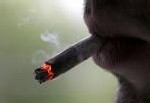 Tabac : j'arrête de fumer