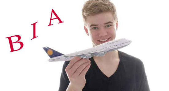 Le Brevet d'initiation aéronautique, pour découvrir l'aviation au lycée