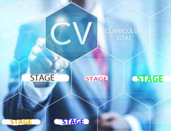 Comment valoriser un stage sur son CV ?