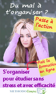 Organiser son temps et son travail : le secret pour étudier sans stress