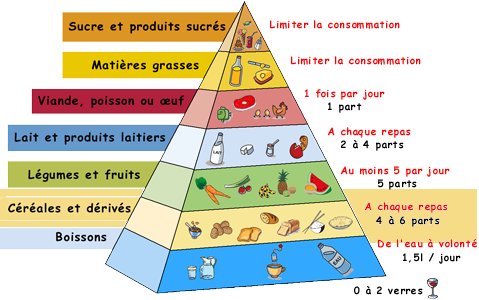 Comment manger équilibré ? Comment manger équilibré ?