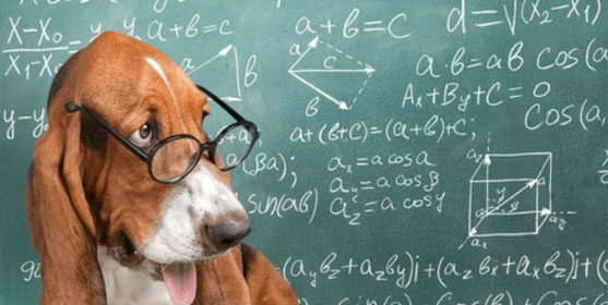 Bac 2019 : les corrigés des sujets de maths en S, ES et L Bac 2019 : les corrigés des sujets de maths en S, ES et L