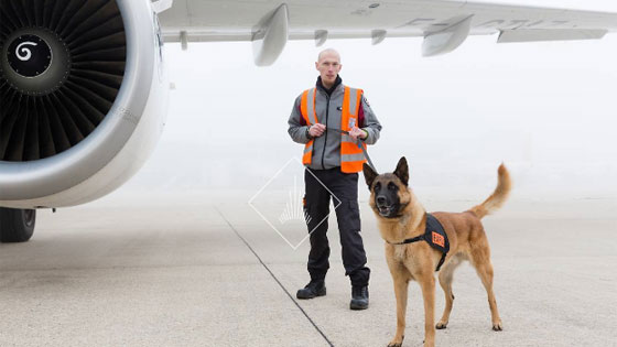 Equipe cynotechnique chargée de l'inspection des avions © Gwen Le Bras / Groupe ADP