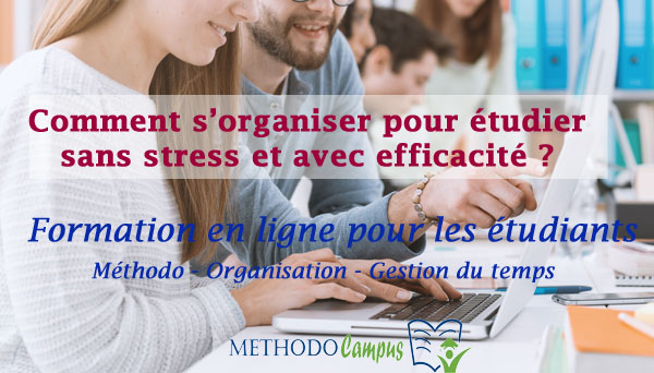 Je n'arrive pas à me mettre au travail ! 10 conseils méthodo