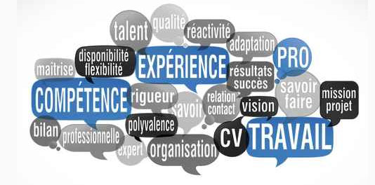 Cv Les Mots A Eviter Les Mots A Privilegier